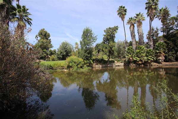Los Angeles County Arboretum (11/3/2016 - Credits: Photo courtesy of Kris Bunting)