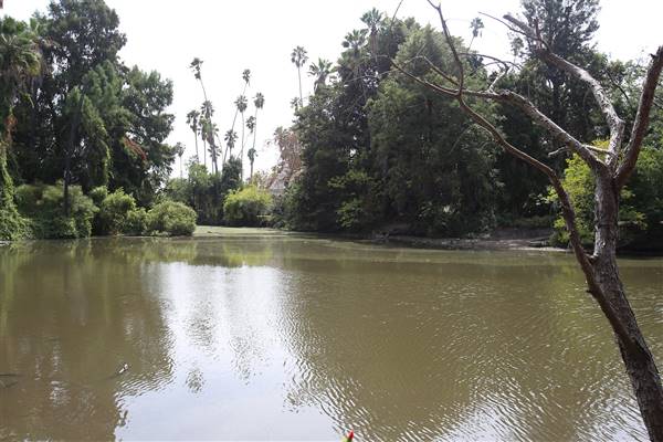 Los Angeles County Arboretum (11/3/2016 - Credits: Photo courtesy of Kris Bunting)