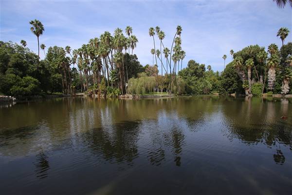 Los Angeles County Arboretum (11/3/2016 - Credits: Photo courtesy of Kris Bunting)