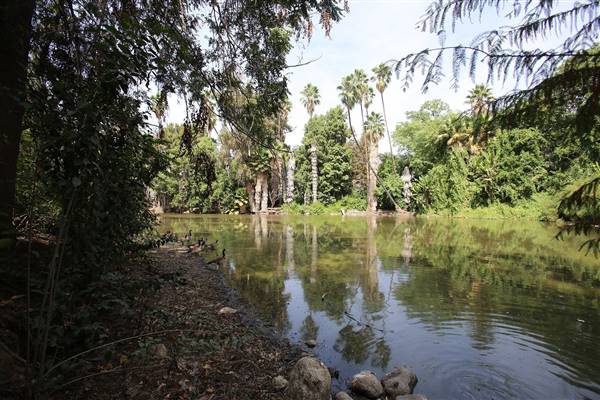 Los Angeles County Arboretum (11/3/2016 - Credits: Photo courtesy of Kris Bunting)