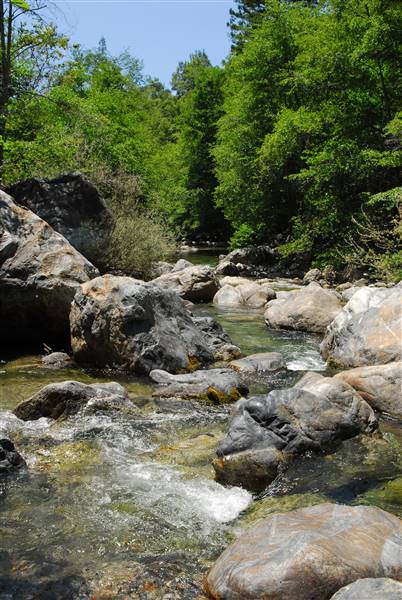 Pfeiffer Big Sur State Park (SP) (11/21/2016 - Credits: Photo courtesy of California State Parks)