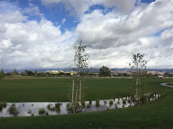Martial Cottle Park State Recreation Area (SRA) - operated by Santa Clara County Parks (11/22/2016 - Credits: Photo Courtesy of California State Parks)