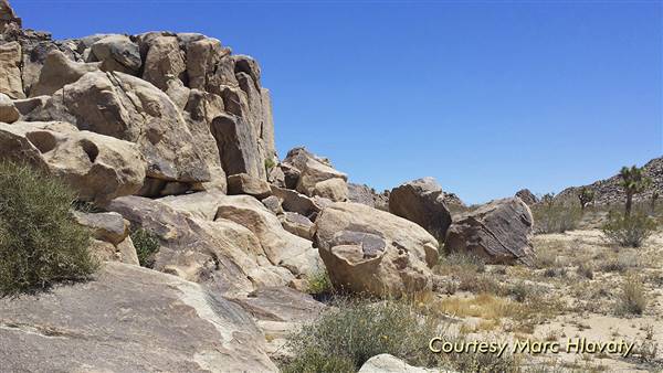 Desert View Conservation Area (4/28/2014 - Credits: Marc Hlavaty)