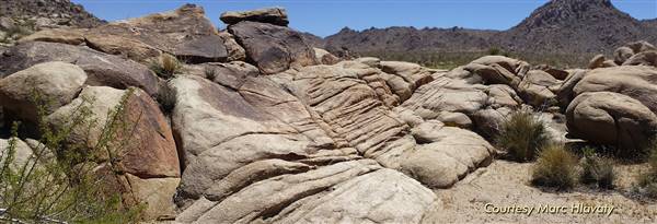Desert View Conservation Area (4/28/2014 - Credits: Marc Hlavaty)