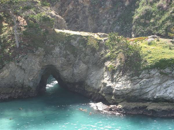 Point Lobos State Natural Reserve (SNR) (6/28/2017)