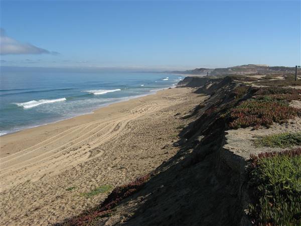 Sand City Beach / Eolian Dunes Preserve - Sand Dunes (6/28/2017)
