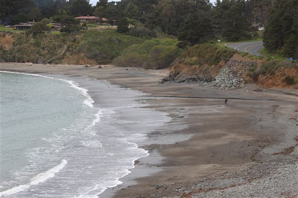 Van Damme State Park (SP) / Beach / Pygmy Forest / Fern Canyon Trail / Spring Ranch Trail - Beach (4/5/2017 - Credits: Kellen Lim)