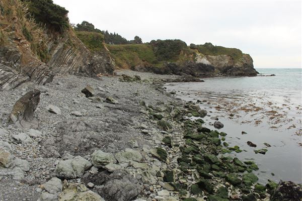 Van Damme State Park (SP) / Beach / Pygmy Forest / Fern Canyon Trail / Spring Ranch Trail - Beach (4/5/2017 - Credits: Kellen Lim)