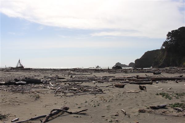 Navarro River Beach - Navarro River Redwoods State Park (SP) (3/31/2017 - Credits: Kellen Lim)
