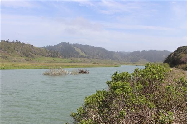 Ten Mile Estuary State Marine Conservation Area - Ten Mile River (3/29/2017 - Credits: Kellen Lim)