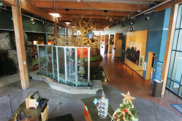 Shasta County Museums (1/19/2018)