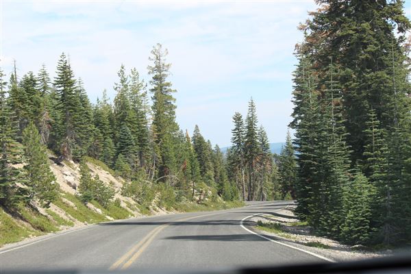 Shasta County Roads & Bridges (1/19/2018)