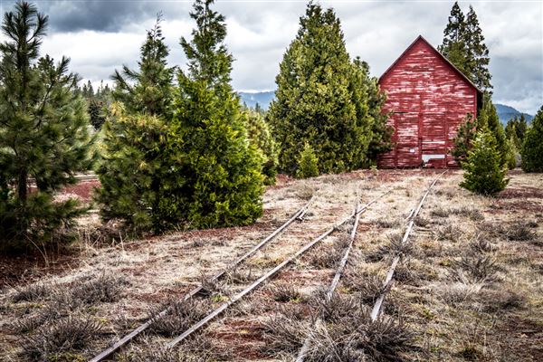 Shasta County Towns & Cities (1/19/2018)