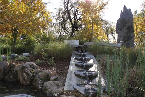 Shasta County Gardens (1/22/2018)