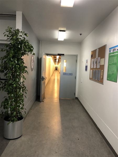 Burbank Town Center / with Adjacent CLOSED IKEA (3/1/2018)
