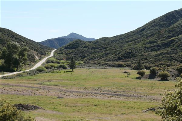 Rancho Grande (3/29/2018)