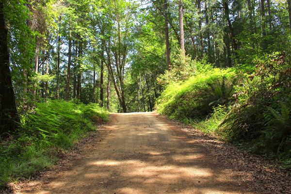 Peachland Road - Anderson Valley region- North East of Boonville, transition to dirt road (county road ends at gate to private property up ahead) (5/15/2018 - Credits: Kellen Lim)