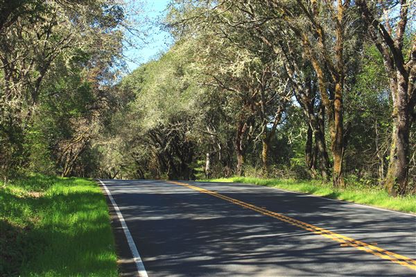 Highway 128 - Anderson Valley corridor - Highway 128 - North of Philo (4/24/2018 - Credits: Kellen Lim)