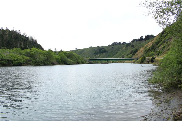Navarro River - located in Hendy Woods State Park (SP) (5/15/2018 - Credits: Kellen Lim)