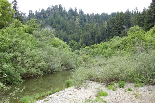 Navarro River - located in Hendy Woods State Park (SP) (5/22/2018 - Credits: Kellen Lim)