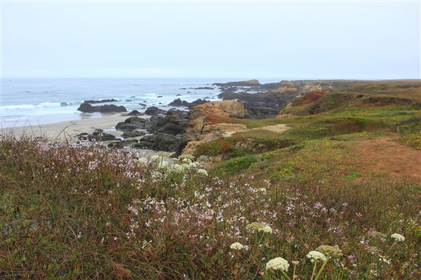 Haul Road Coastal Trail (MacKerricher State Park) (7/16/2018 - Credits: Kellen Lim)