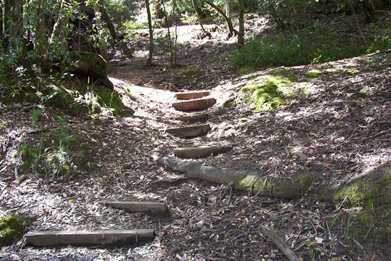 Alliance Redwoods Conference Grounds (7/25/2018)
