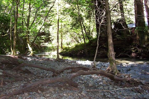 Alliance Redwoods Conference Grounds (7/25/2018)