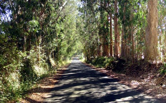 Bay Hill Road (7/25/2018)