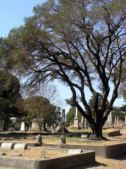 Cypress Hill Memorial Park (7/25/2018)
