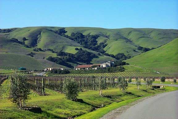 Gloria Ferrar Champagne Caves (7/25/2018)