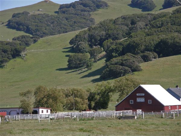 J G Angus Ranch (7/25/2018)