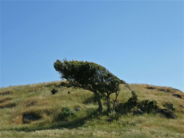J G Angus Ranch (7/25/2018)