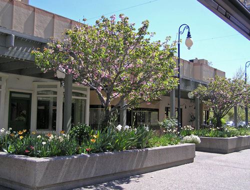 Montgomery Village (7/25/2018)