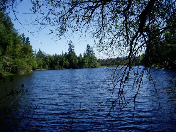 Robertson House Vacation Rental (7/25/2018)