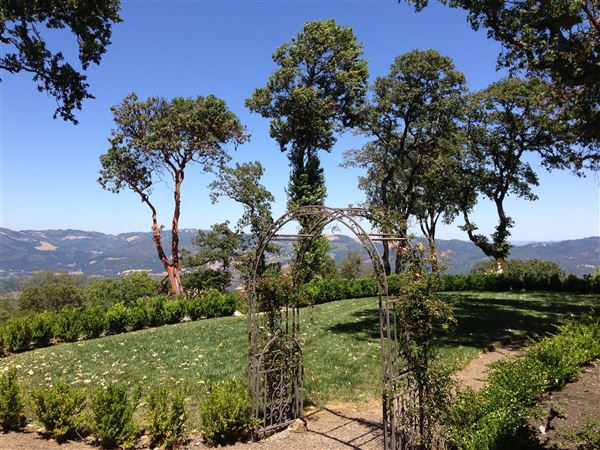 Sonoma Mountain Vista Estate (7/25/2018)