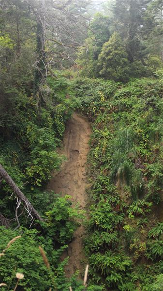 Little River Blowhole Trail - Little River - Blowhole Trail (8/6/2018 - Credits: Kellen Lim)