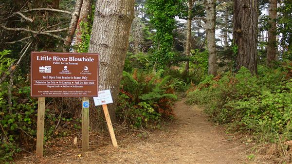 Little River Blowhole Trail - Little River - Blowhole Trail (8/6/2018 - Credits: Kellen Lim)