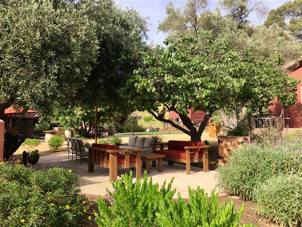 Old Creek Ranch Winery (8/1/2018 - Credits: Jane Holguin)