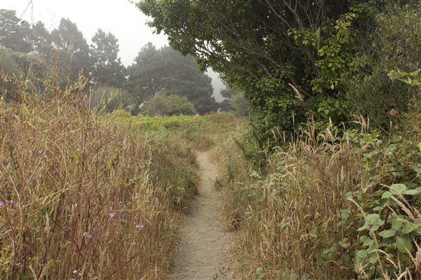 Big River Beach @ Menodocino Headlands State Park  (SP) (7/24/2018 - Credits: Kellen Lim)