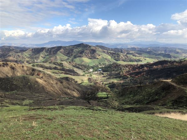Willow Creek Ranch (1/17/2018 - Credits: VIto San Filippo)