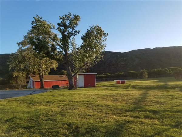 Freedom Ranch - Shadowlands Foundation - Wolves in California (1/7/2019)