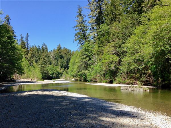 Navarro River - located in Hendy Woods State Park (SP) - Hendy Woods State Park Area (4/15/2015 - Credits: Kellen Lim)