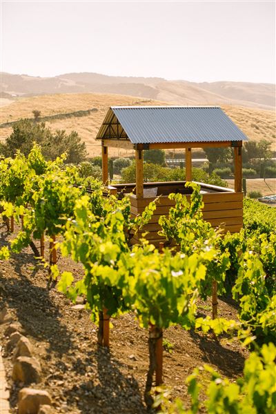 Viansa Sonoma Winery (2/26/2019 - Credits: Norah Burrows Photography)