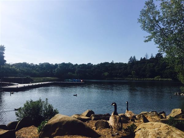 Howarth Park (4/3/2019)