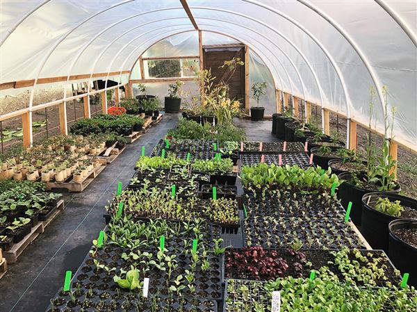 Wavelength Farm - Actual date taken unknown. (4/2/2019 - Credits: Renee Bertrand)