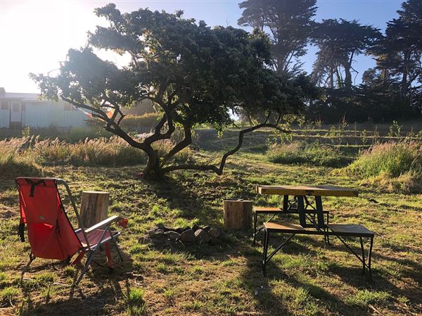 Wavelength Farm - Actual date taken unknown. (4/2/2019 - Credits: Renee Bertrand)