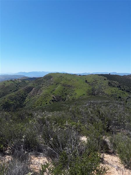 Villalobos Hilltop Ranch (5/23/2019 - Credits: Villalobos Body)