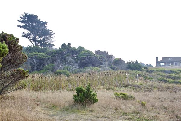 Belinda Point Public Access Trail (11/13/2018 - Credits: Kellen Lim)