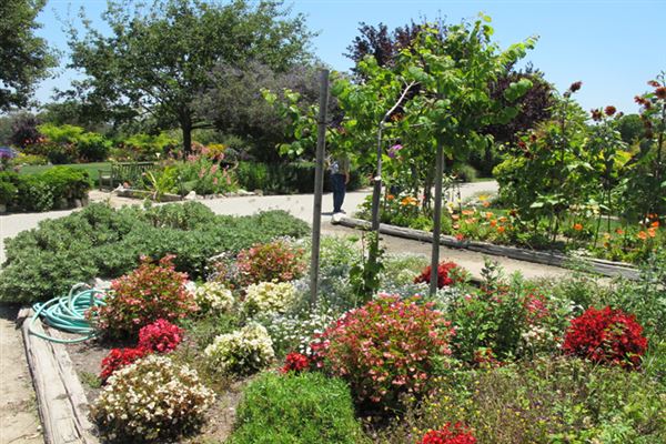 South Coast Botanic Garden (6/1/2019 - Credits: LocoScout)