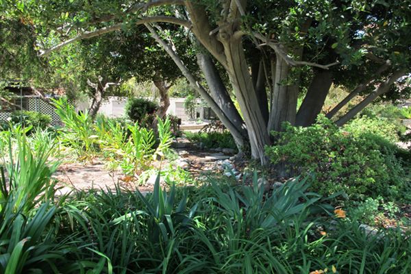 South Coast Botanic Garden (6/1/2019 - Credits: LocoScout)